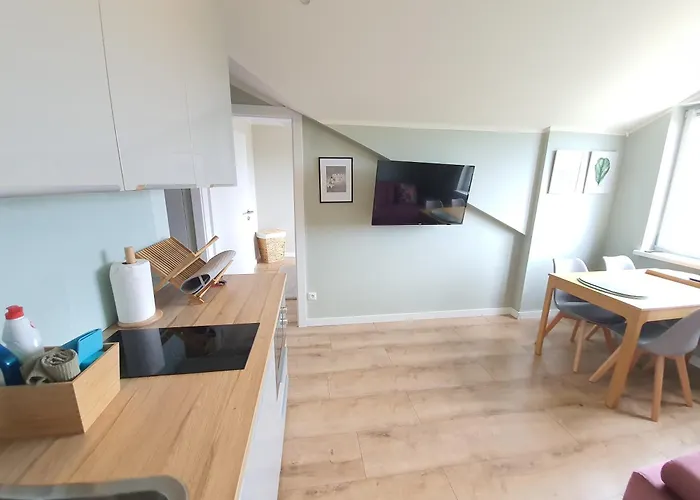 Debowe 公寓 Debina (Ustka)